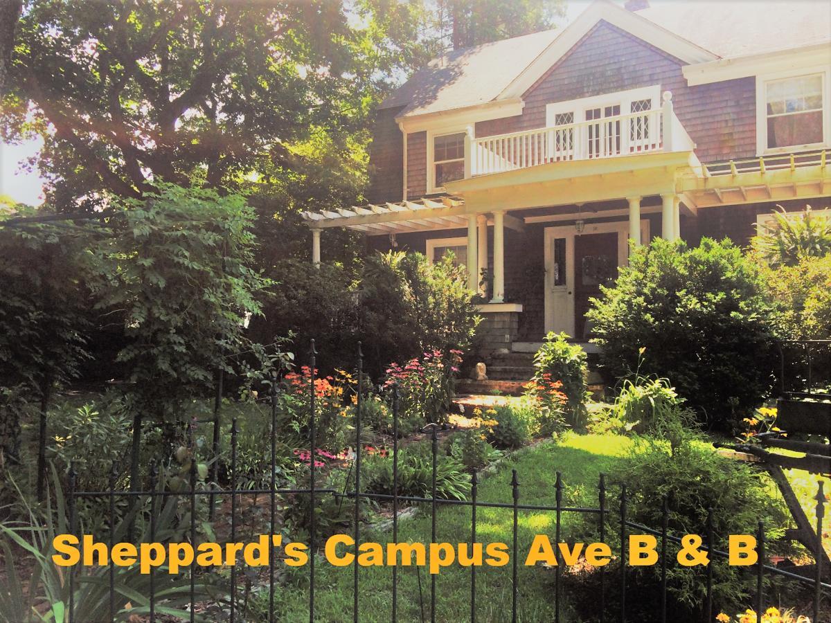 Sheppard'S Campus B&B Kingston Εξωτερικό φωτογραφία